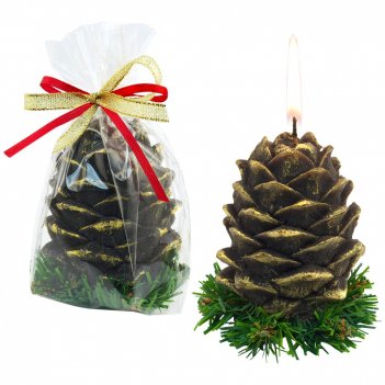 ����� Bolin Webb X1, ������ X1  ������� �������, ��������� ������� �������