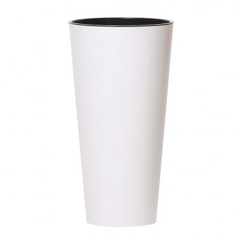 ���� ��-1 ���