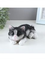    6  12  250        Lenardi