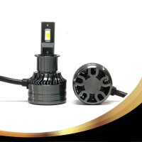  Bizbolka Convention, 