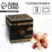 ����� Bolin Webb X1, ������ X1  ������� �������, ��������� ������� �������