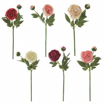 ������ ���� 80 ��, ���. 50 �� ������, ����������� ����� Lenardi